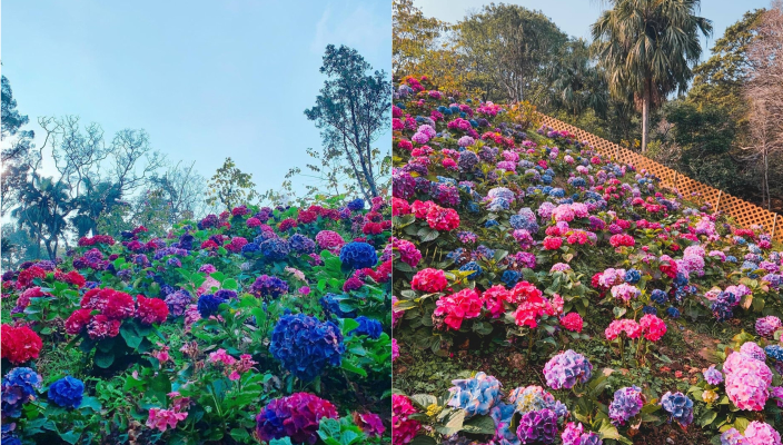 情侶好去處-室外、室內拍拖好去處-《不可愛教主》MV取景地